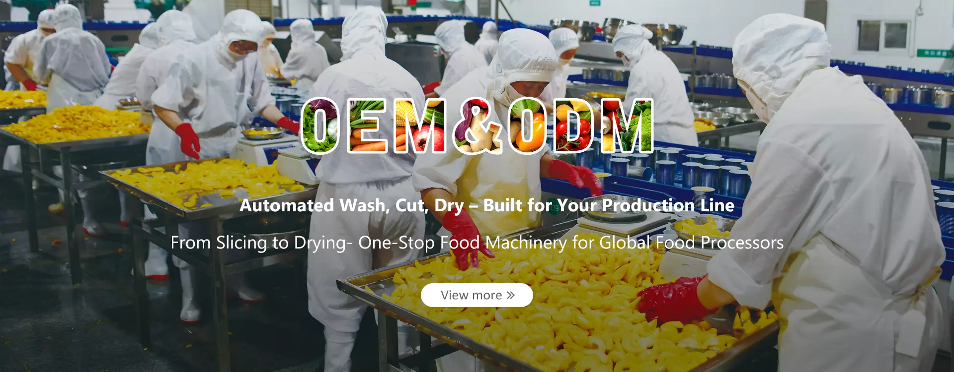 Automated Wash, Cut, Dry – Built for Your Production Line
