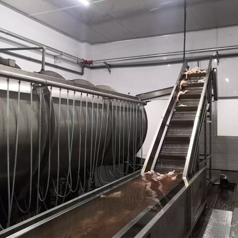 Chicken Slaughtering Equipment