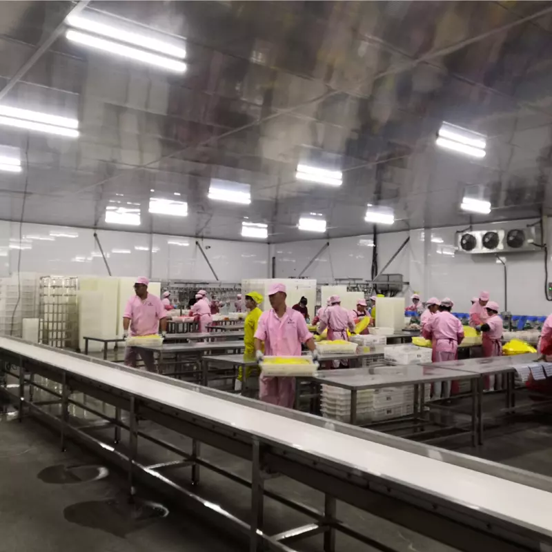 Chicken Slaughtering Equipment
