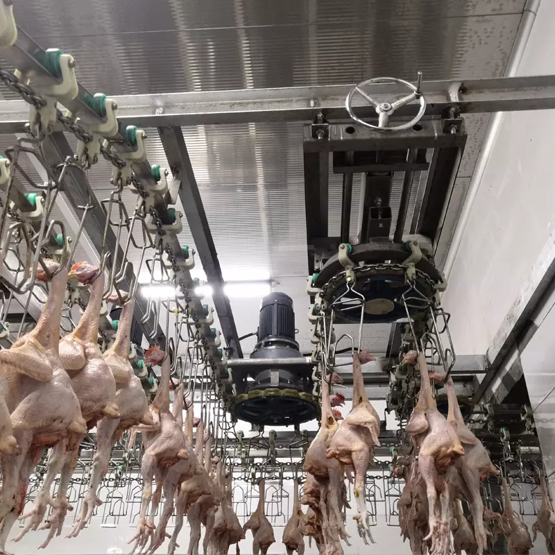 Chicken Slaughtering Equipment